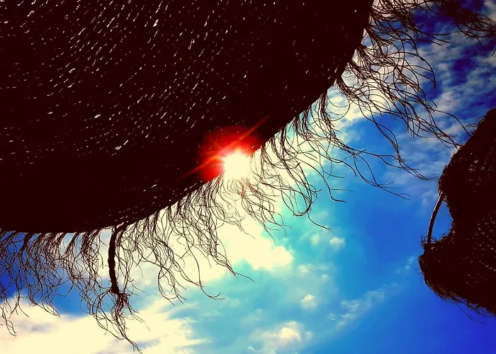 Апартаменты Lovely Penthouse In Old Town By Costarentals - Ref 166